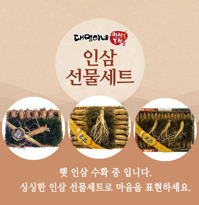 명절인삼선물배너